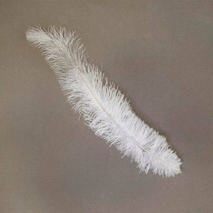 Ostrich Feathers-Floss - White